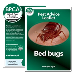 Bed-bugs-pest-advice-leaflet-BPCA Bed-bugs-pest-advice-leaflet-BPCA